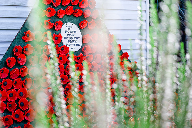 Remembrance Day Poppy