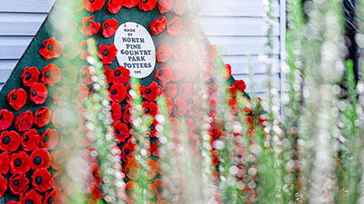 Remembrance Day Poppies